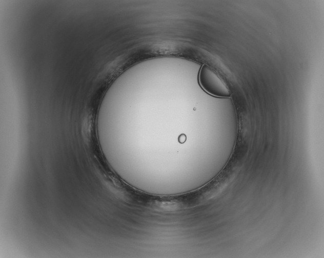 X0000111420645200907271144