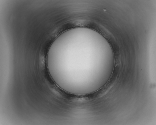 X0000111420646200907271144