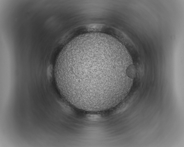 X0000111420649200907271144