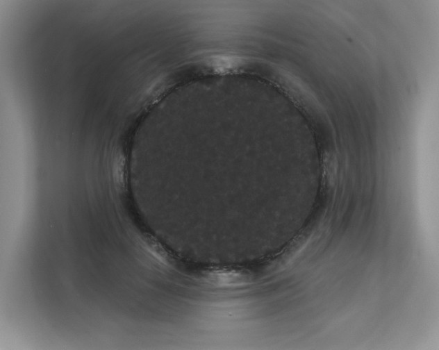 X0000111420650200907271144