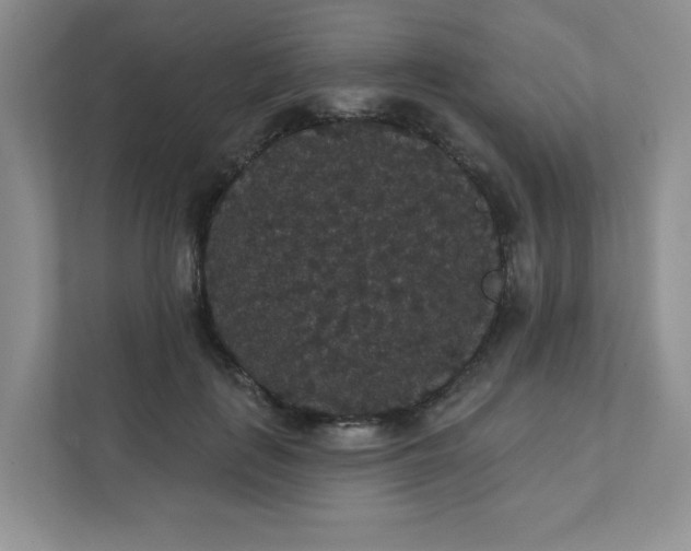 X0000111420651200907271144