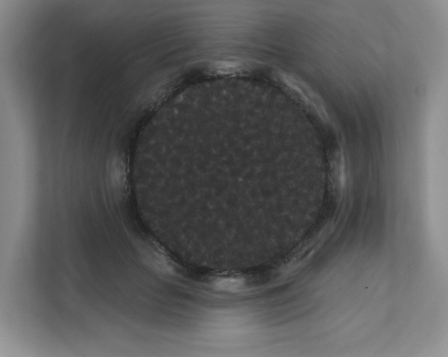 X0000111420653200907271144