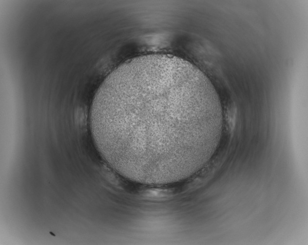 X0000111420657200907271144