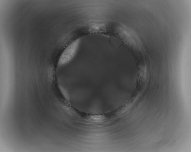 X0000111420659200907271144