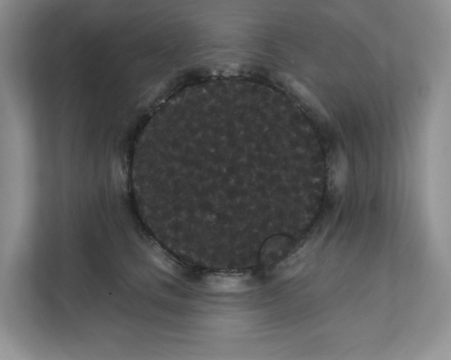 X0000111420661200907271144