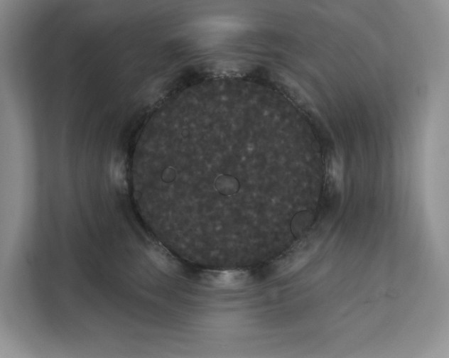 X0000111420663200907271144