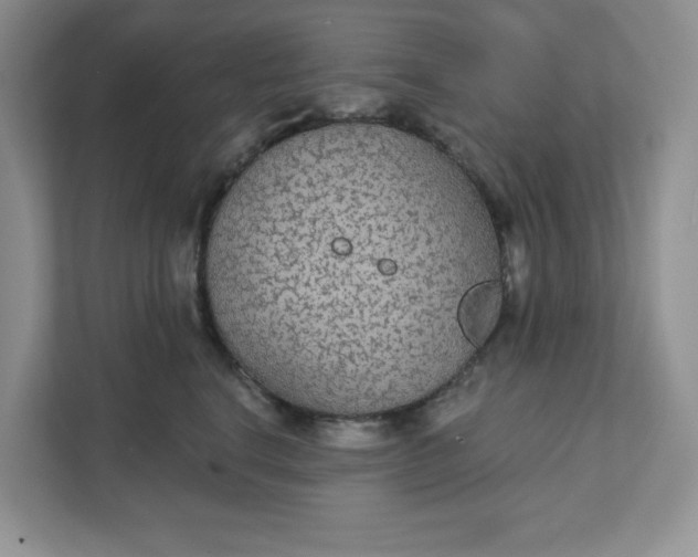 X0000111420664200907271144