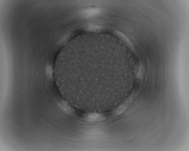 X0000111420669200907271144