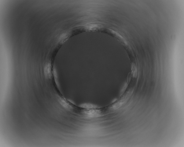 X0000111420670200907271144