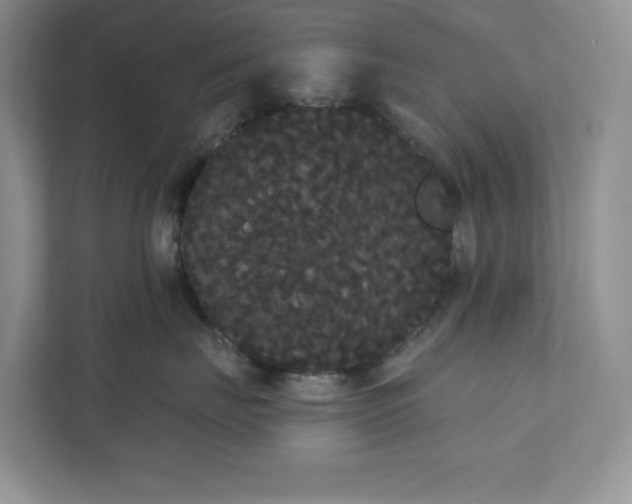 X0000111420671200907271144