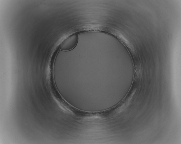 X0000111420674200907271144