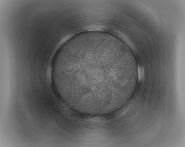 X0000111420675200907271144