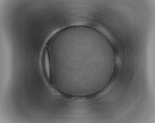 X0000111420676200907271144