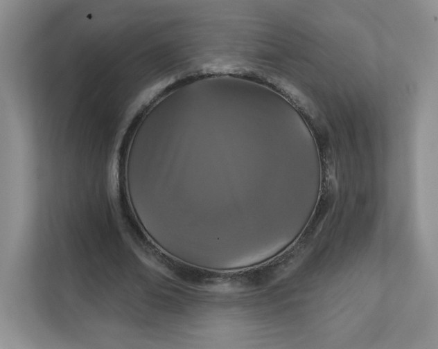 X0000111420678200907271144