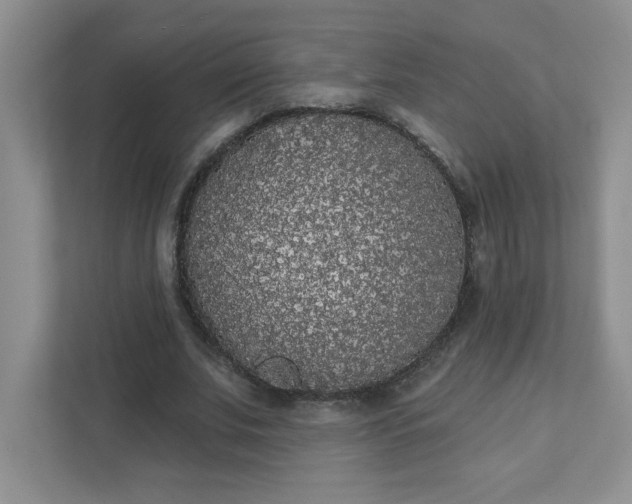 X0000111420679200907271144