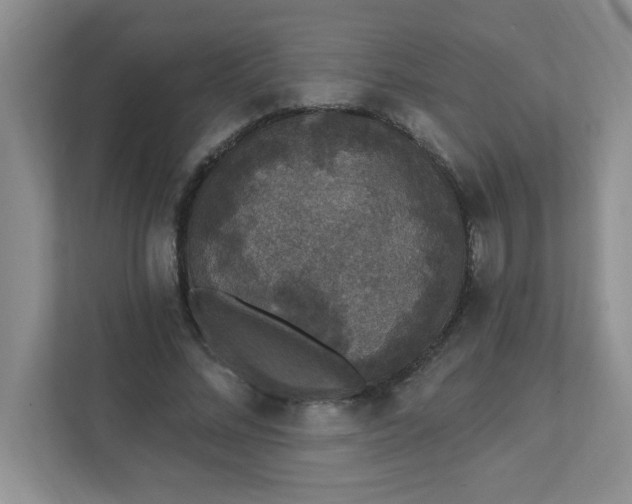 X0000111420684200907271144