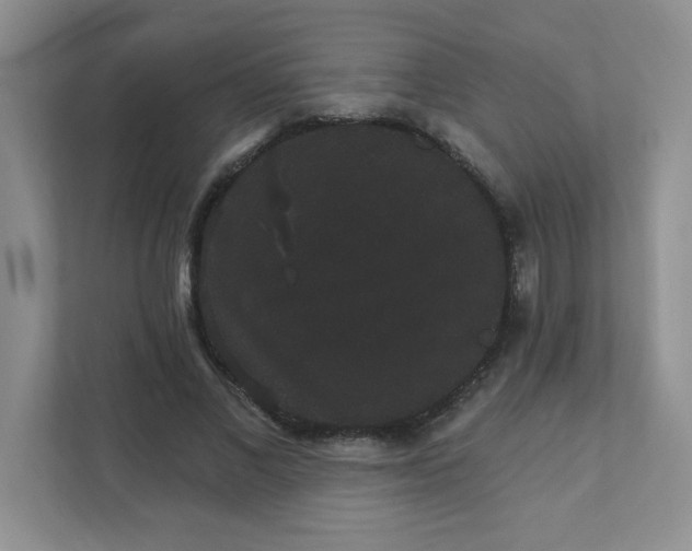 X0000111420685200907271144