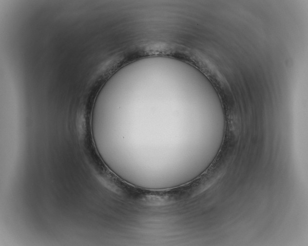 X0000111420690200907271143