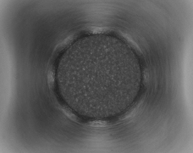 X0000111420691200907271143