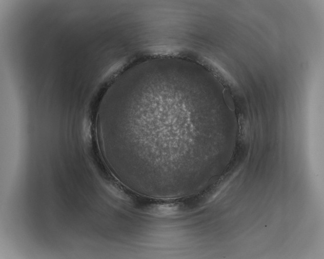 X0000111420692200907271143