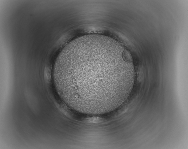 X0000111420695200907271143