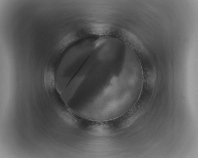 X0000111420696200907271143