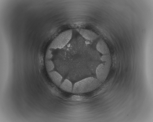 X0000111420699200907271143