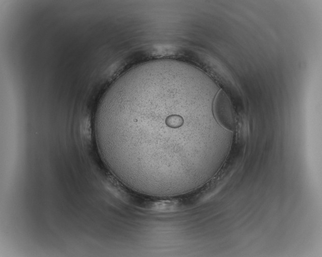 X0000111420700200907271143