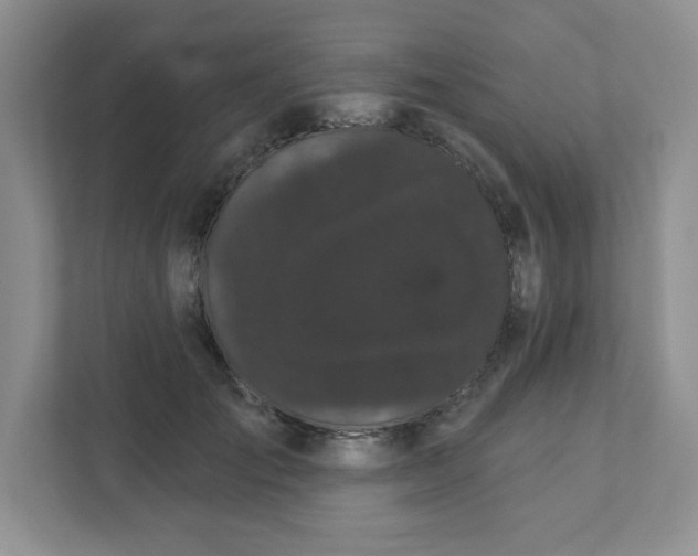 X0000111420701200907271143