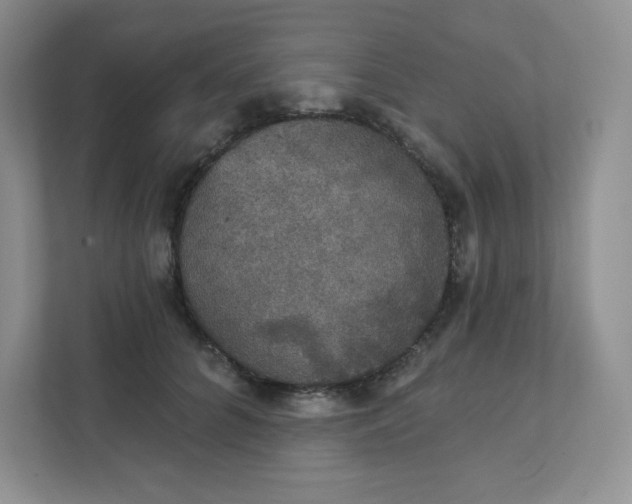 X0000111420704200907271143