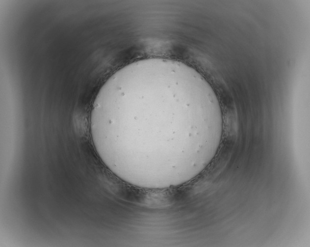 X0000111420705200907271143