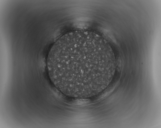 X0000111420707200907271143