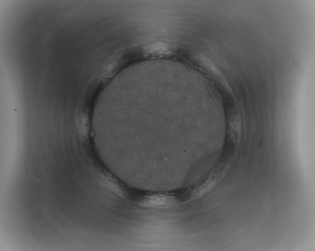 X0000111420708200907271143