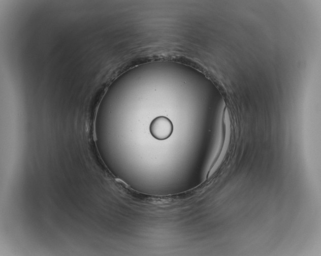 X0000111420709200907271143