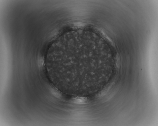 X0000111420711200907271143