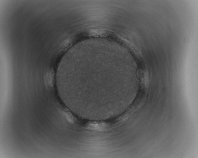 X0000111420712200907271143