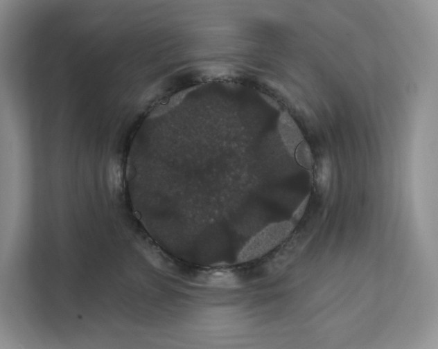 X0000111420715200907271143