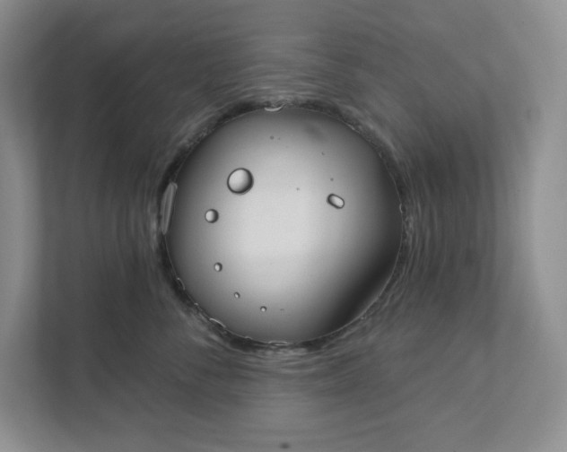 X0000111420716200907271143