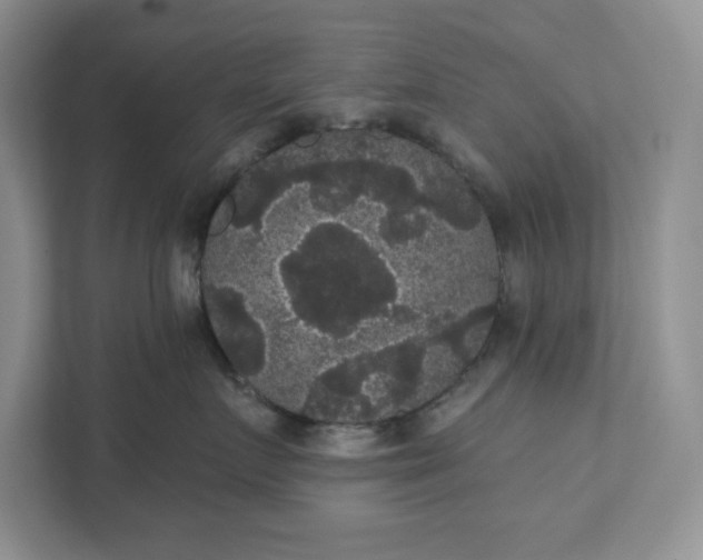 X0000111420719200907271143