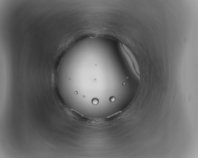 X0000111420720200907271143