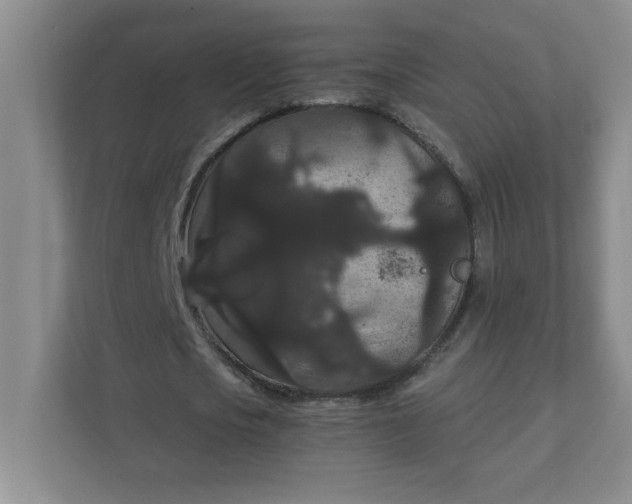 X0000111420721200907271142