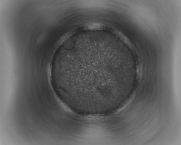 X0000111420725200907271142