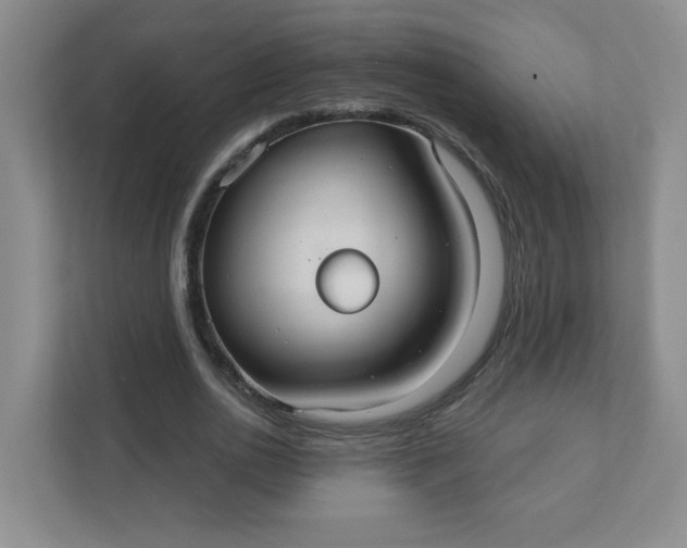 X0000111420726200907271142