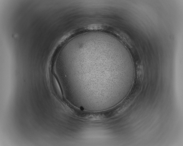 X0000111420727200907271142