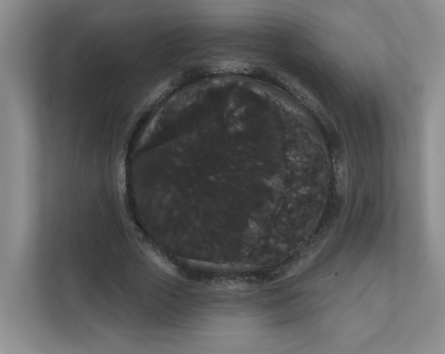 X0000111420729200907271142