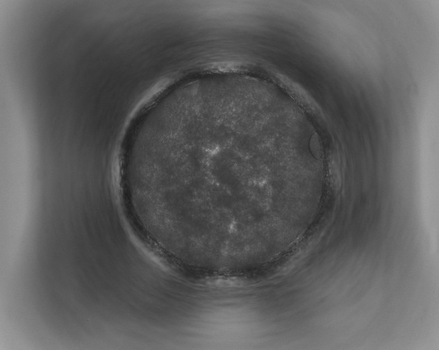 X0000111420730200907271142