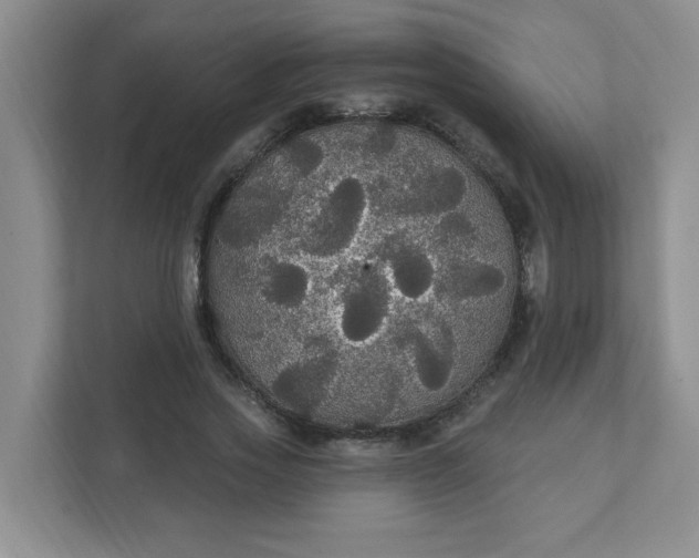 X0000111420733200907271142