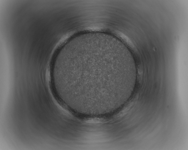 X0000111420734200907271142