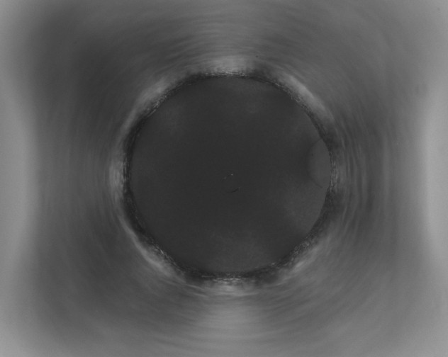 X0000111420736200907271142