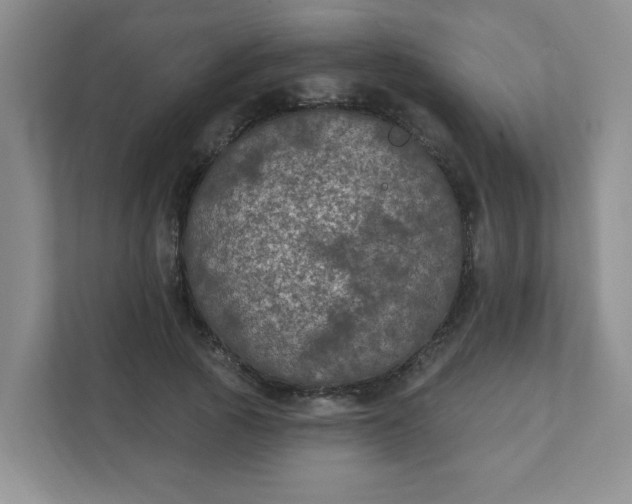 X0000111420737200907271142